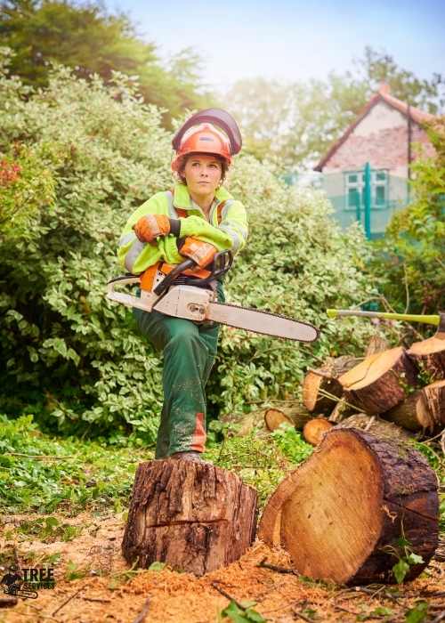 Equip Tree services