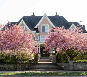 Local experts offering complete tree services in Sydney