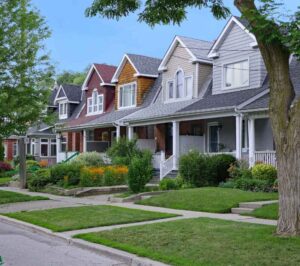Equip Tree Services team working on tree removal in Sydney
