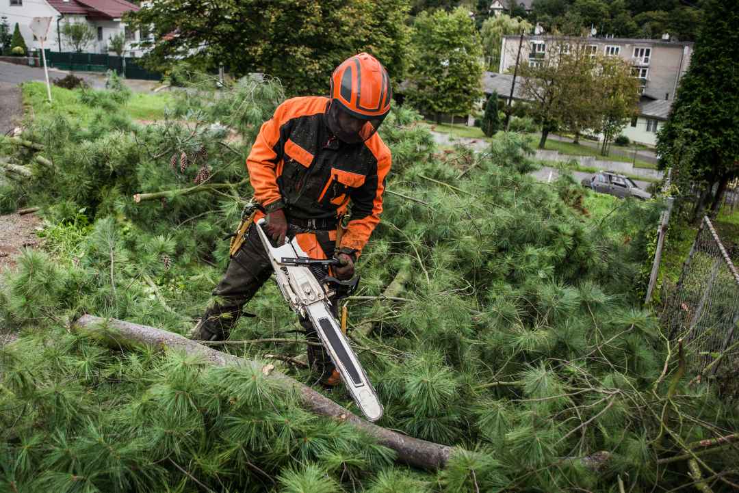 equip tree service