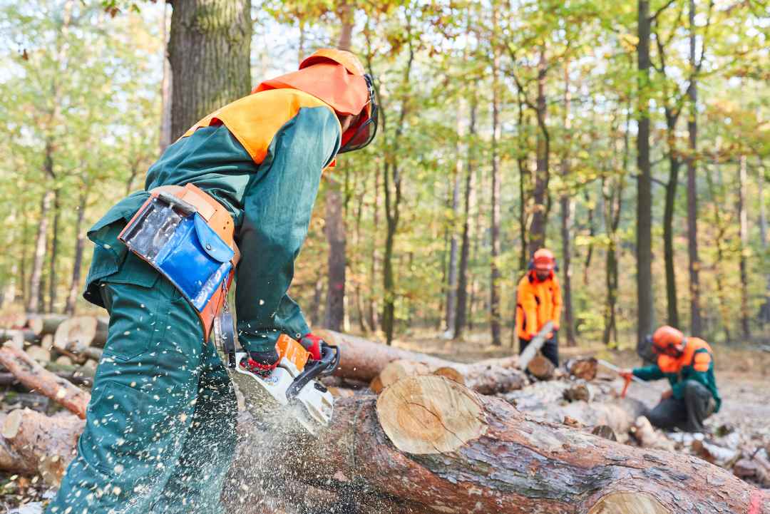 Tree Topping